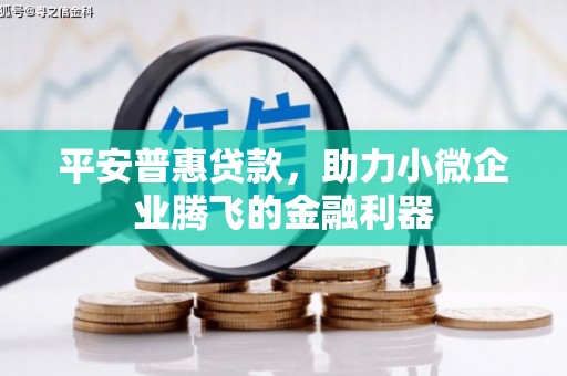 丰满平安普惠贷款，助力小微企业腾飞的金融利器