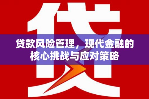 丰满贷款风险管理，现代金融的核心挑战与应对策略