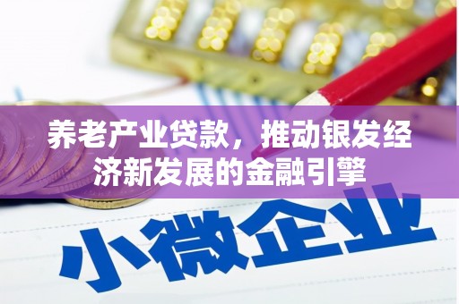 丰满养老产业贷款，推动银发经济新发展的金融引擎