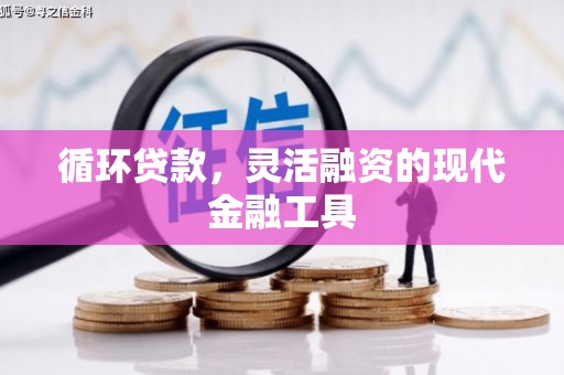 丰满循环贷款，灵活融资的现代金融工具