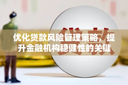 丰满优化贷款风险管理策略，提升金融机构稳健性的关键