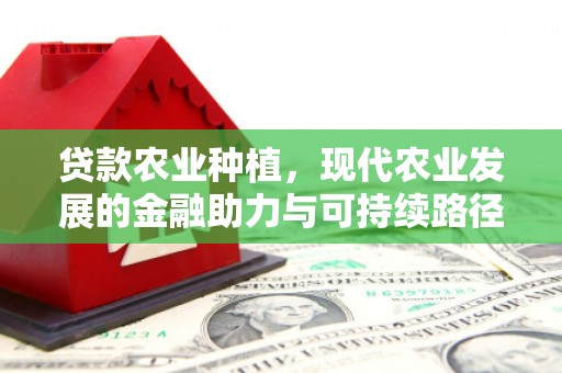 丰满贷款农业种植，现代农业发展的金融助力与可持续路径