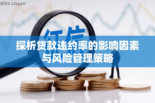 丰满探析贷款违约率的影响因素与风险管理策略