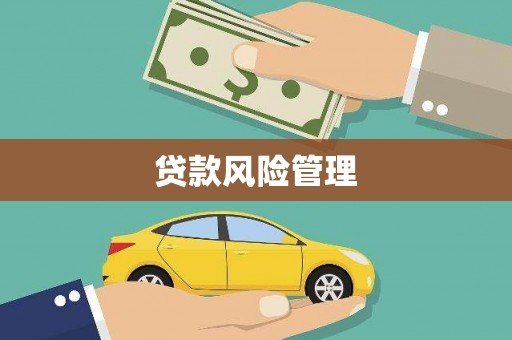 丰满贷款风险管理