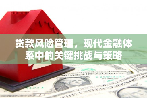 丰满贷款风险管理，现代金融体系中的关键挑战与策略