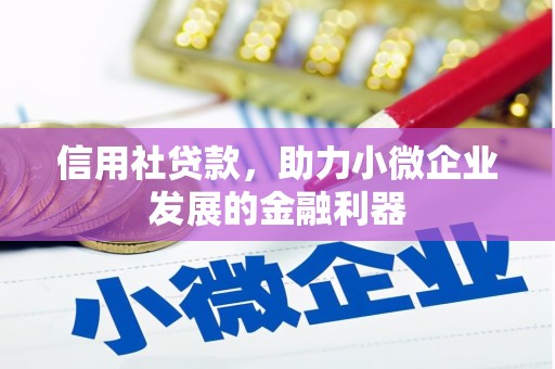 丰满信用社贷款，助力小微企业发展的金融利器