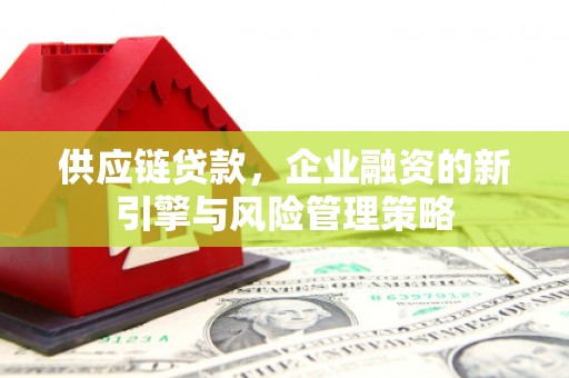 丰满供应链贷款，企业融资的新引擎与风险管理策略
