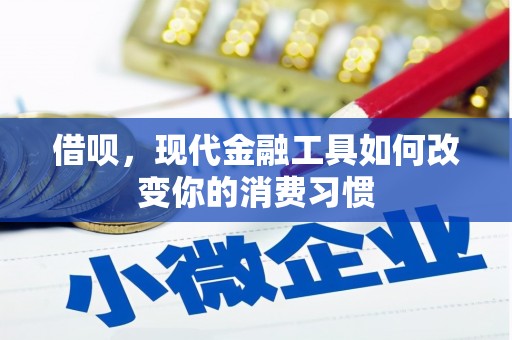 丰满借呗，现代金融工具如何改变你的消费习惯