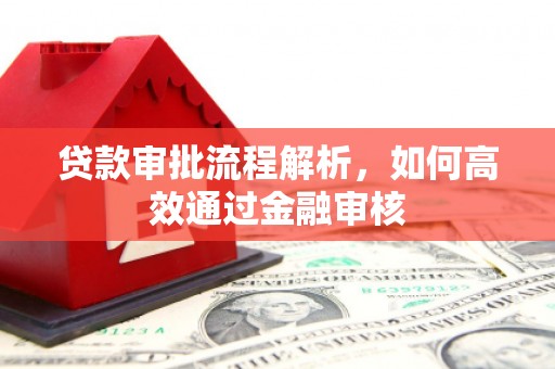 丰满贷款审批流程解析，如何高效通过金融审核