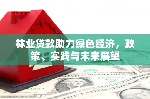 丰满林业贷款助力绿色经济，政策、实践与未来展望