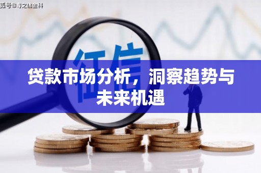 丰满贷款市场分析，洞察趋势与未来机遇