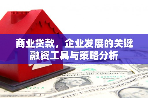 丰满商业贷款，企业发展的关键融资工具与策略分析