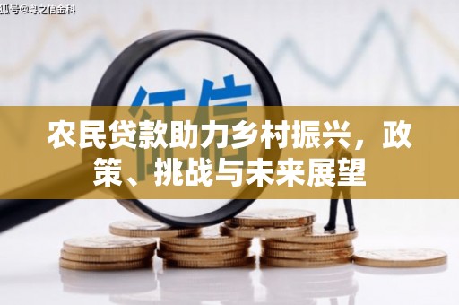 丰满农民贷款助力乡村振兴，政策、挑战与未来展望