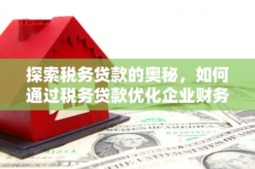 丰满探索税务贷款的奥秘，如何通过税务贷款优化企业财务