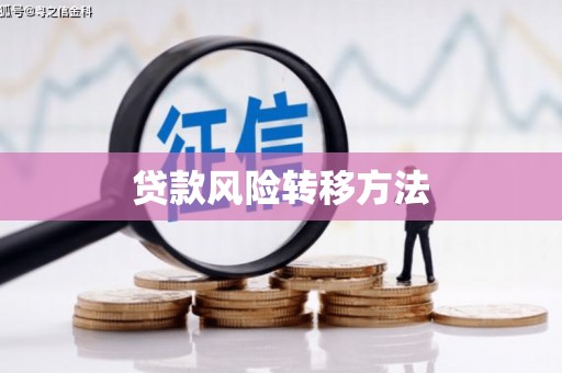 丰满贷款风险转移方法