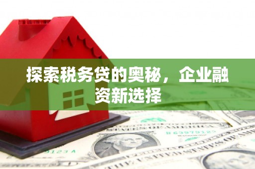 丰满探索税务贷的奥秘，企业融资新选择