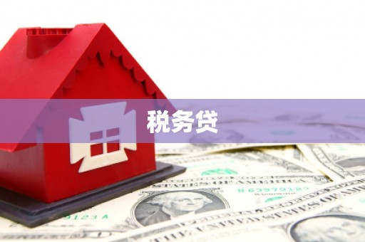 丰满税务贷