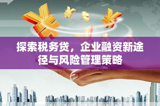 丰满探索税务贷，企业融资新途径与风险管理策略