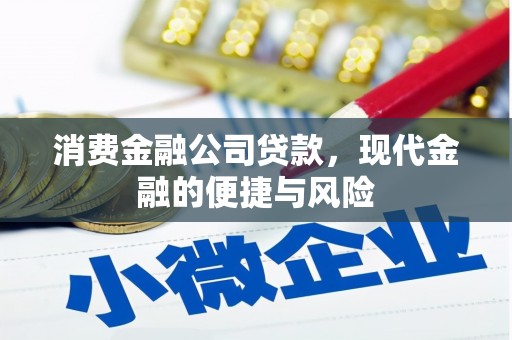 丰满消费金融公司贷款，现代金融的便捷与风险