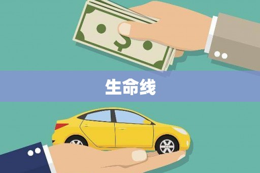 丰满生命线