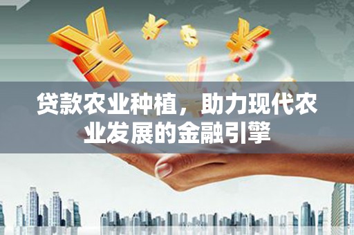 丰满贷款农业种植，助力现代农业发展的金融引擎