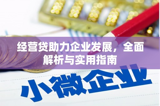 丰满经营贷助力企业发展，全面解析与实用指南