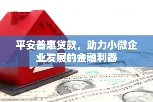 丰满平安普惠贷款，助力小微企业发展的金融利器