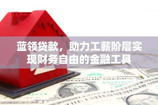 丰满蓝领贷款，助力工薪阶层实现财务自由的金融工具