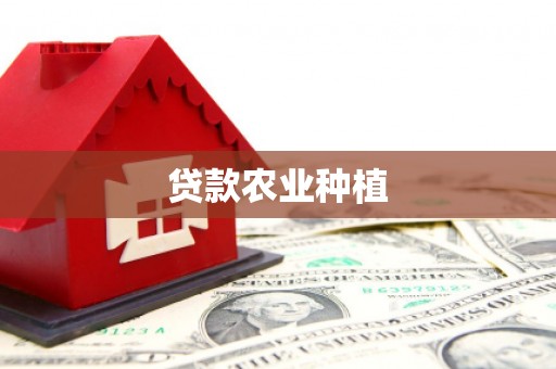 丰满贷款农业种植