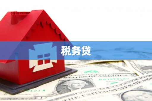 丰满税务贷