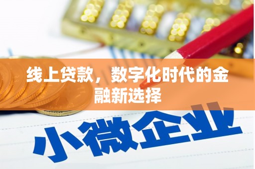 丰满线上贷款，数字化时代的金融新选择