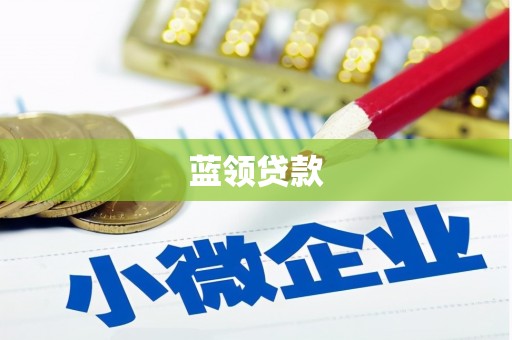 丰满蓝领贷款