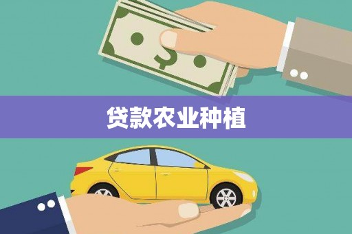 丰满贷款农业种植