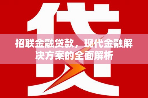 丰满招联金融贷款，现代金融解决方案的全面解析