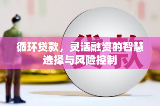 丰满循环贷款，灵活融资的智慧选择与风险控制