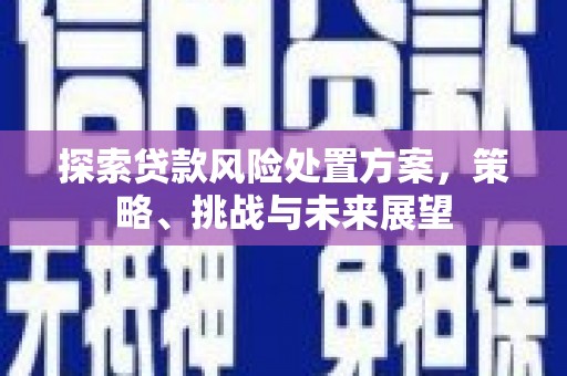 丰满探索贷款风险处置方案，策略、挑战与未来展望