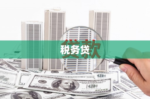 丰满税务贷