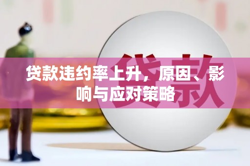 丰满贷款违约率上升，原因、影响与应对策略