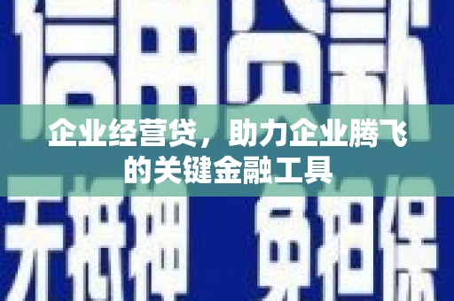 丰满企业经营贷，助力企业腾飞的关键金融工具