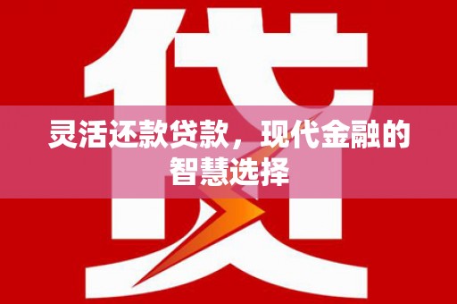 丰满灵活还款贷款，现代金融的智慧选择