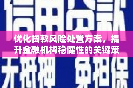 丰满优化贷款风险处置方案，提升金融机构稳健性的关键策略