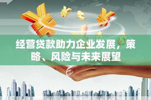 丰满经营贷款助力企业发展，策略、风险与未来展望