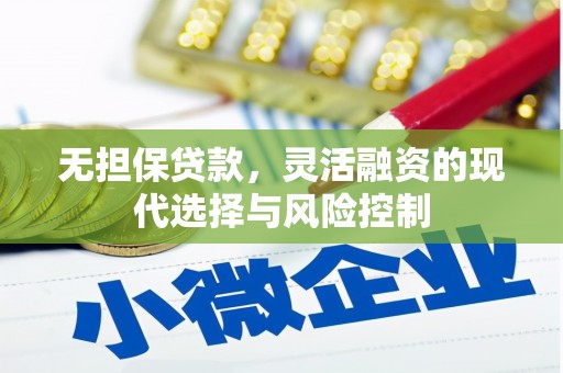 丰满无担保贷款，灵活融资的现代选择与风险控制