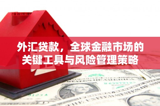 丰满外汇贷款，全球金融市场的关键工具与风险管理策略