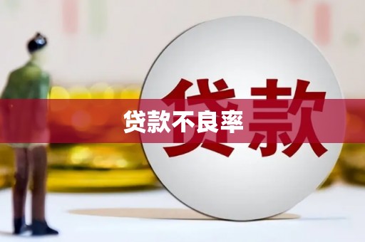 丰满贷款不良率
