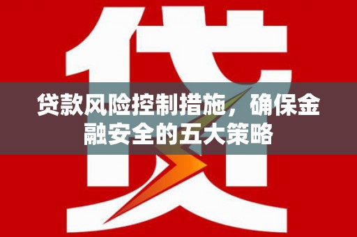 丰满贷款风险控制措施，确保金融安全的五大策略