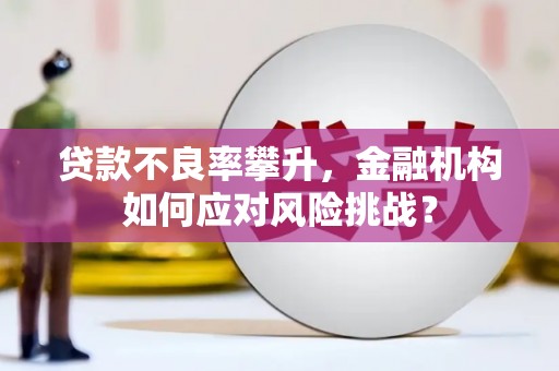 丰满贷款不良率攀升，金融机构如何应对风险挑战？
