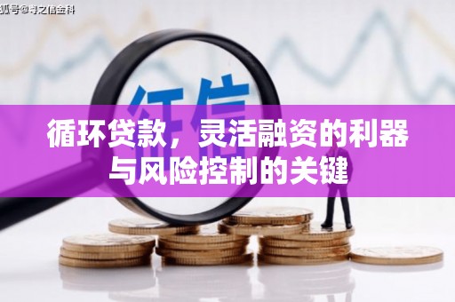 丰满循环贷款，灵活融资的利器与风险控制的关键