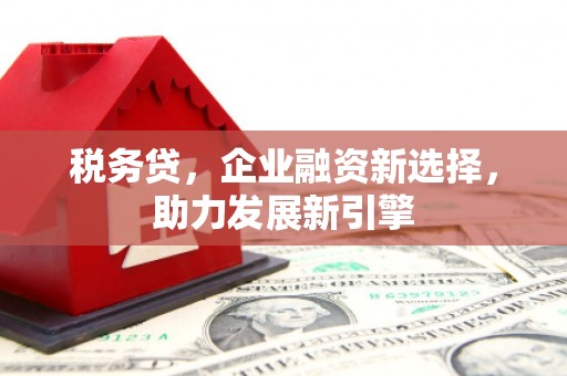 丰满税务贷，企业融资新选择，助力发展新引擎