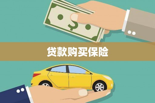 丰满贷款购买保险